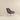 Aubrey French Boucle Lounge Chair ASY Furniture Houston TX