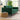Catherine Sofa ASY Furniture Houston TX