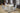 ASY Furniture in Houston-Texas from Asy Furniture
