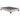 Upholstered Beds Elements in Houston-Texas from Asy Furniture