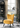 Chair Homelegance in Houston-Texas from Asy Furniture