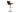 Bar Stools Baxton Studio in Houston-Texas from Asy Furniture
