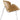 Chair Modway in Houston-Texas from Asy Furniture