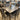 Dining Set Crown Mark in Houston-Texas from Asy Furniture