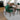 Rixos (Walnut)  Dining set with 4 Virginia (Green Velvet) Dining Chairs ASY Furniture  Houston TX