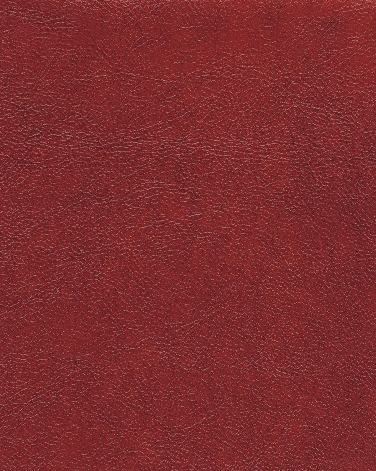 Vacherie Reclining Salsa Loveseat with Console ASY Furniture