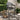 Outdoor Dining Baxton Studio in Houston-Texas from Asy Furniture